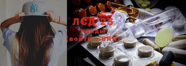 мяу мяу мука Балабаново