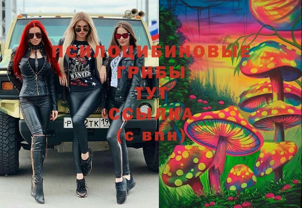 ECSTASY Балахна