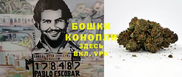 ECSTASY Балахна