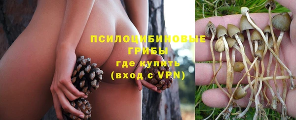 мяу мяу мука Балабаново