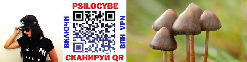 Галлюциногенные грибы Psilocybine cubensis  где купить наркоту  Карасук 
